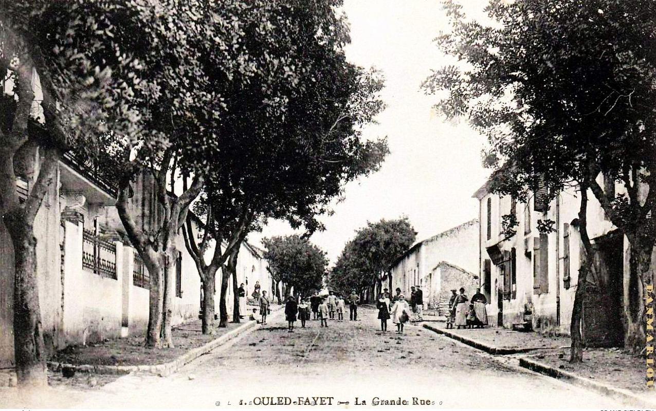 2943- Ouled-Fayet - Grande Rue.jpg